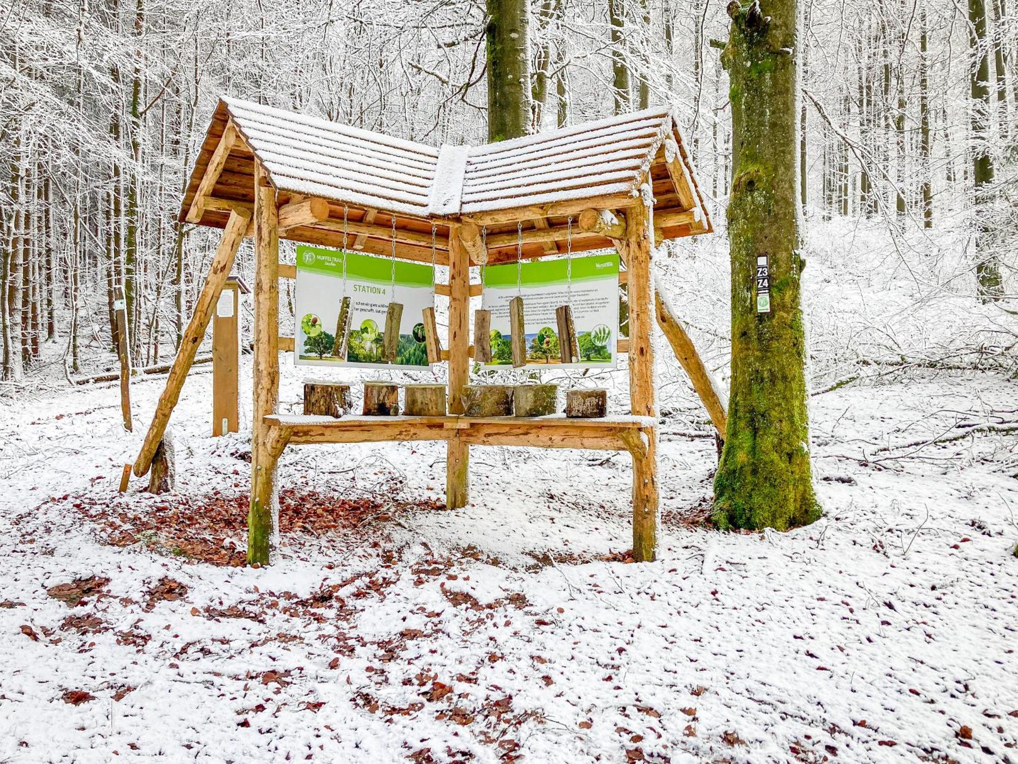 Alte Schule Winterberg Luxury Apartments Eksteriør billede