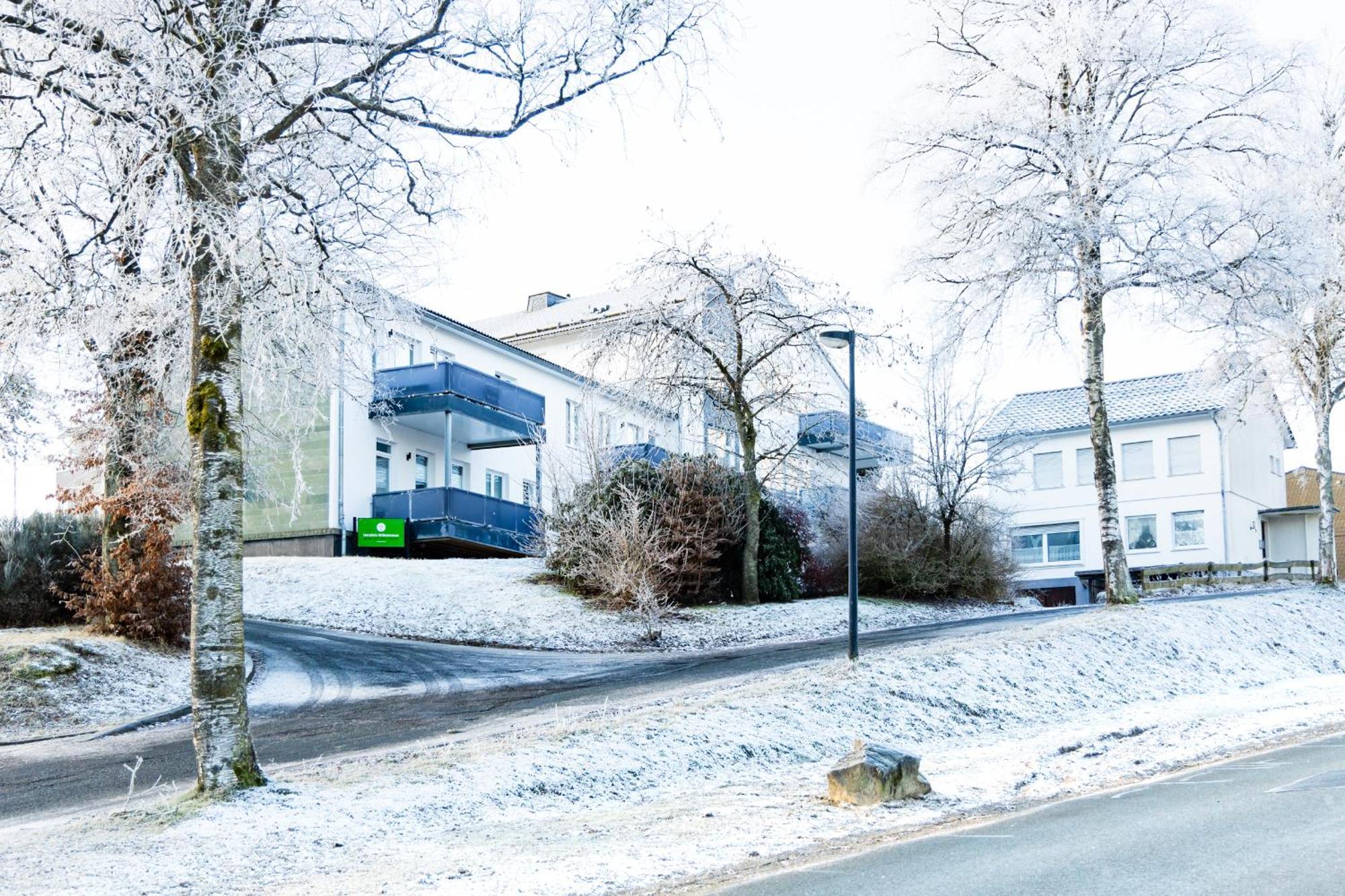 Alte Schule Winterberg Luxury Apartments Eksteriør billede